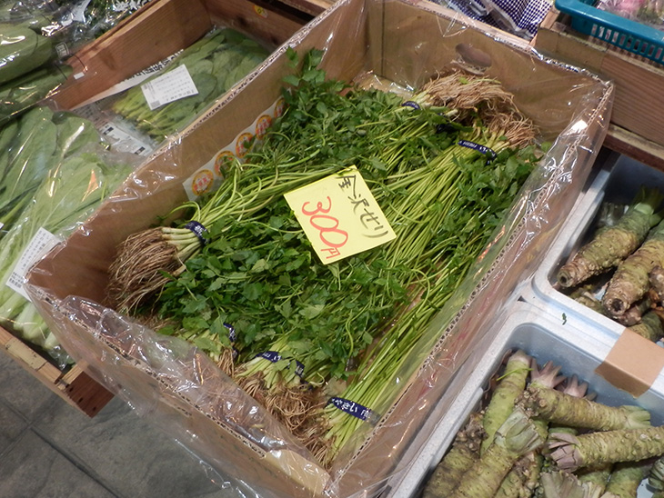Japanese parsley