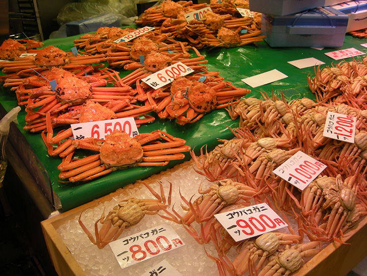 Crab caught in sea of Japan